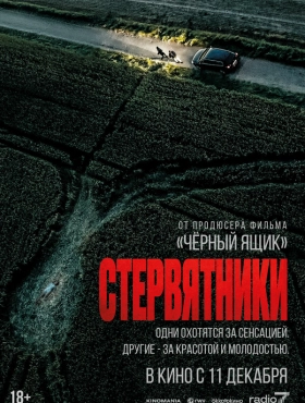 Стервятники